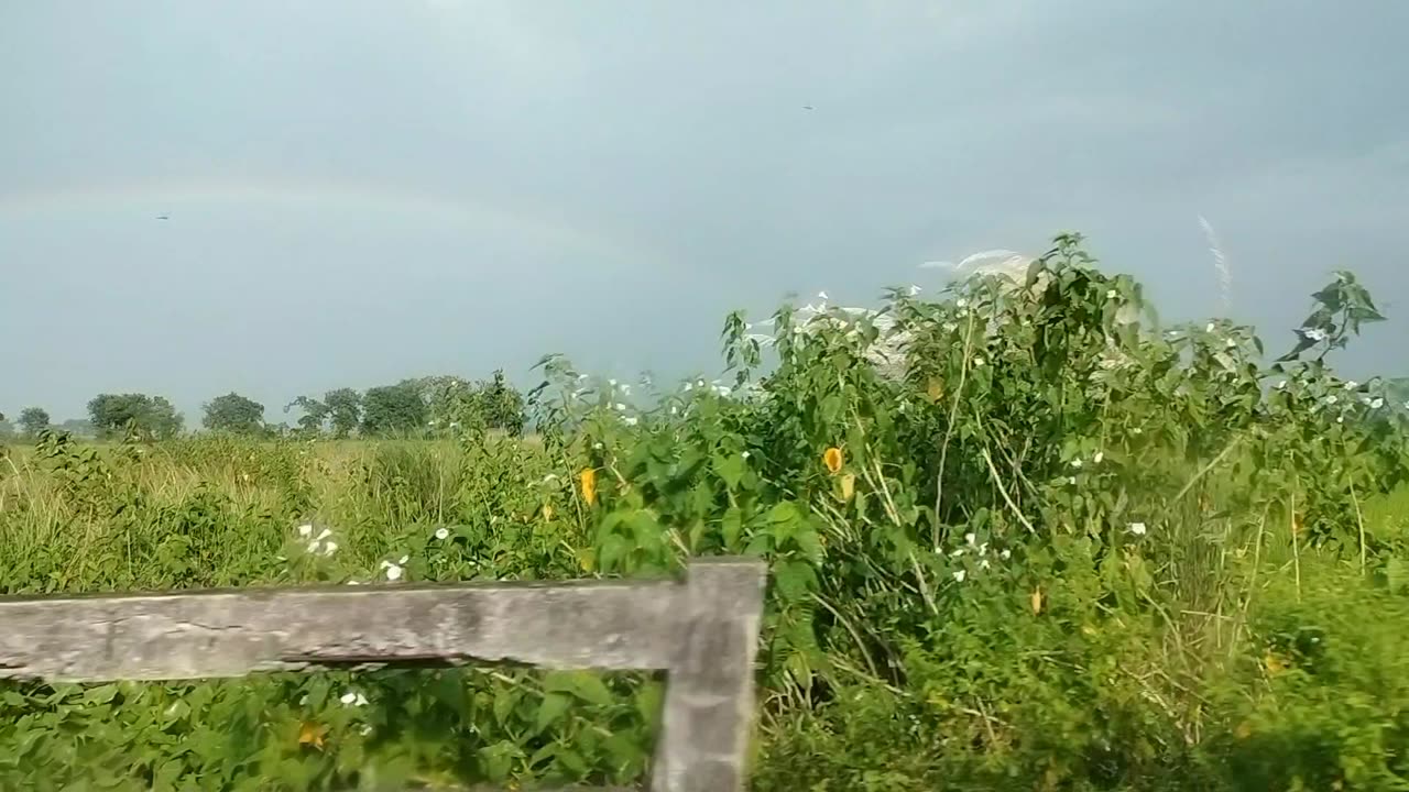 Rainbow 🌈 in India..