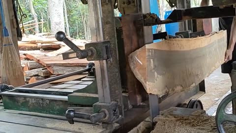 Turning Teak Logs Into Furniture Blocks And Sheets In Wood Chainsaws