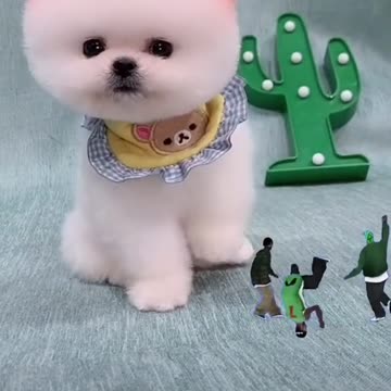 They are dancers💋💋