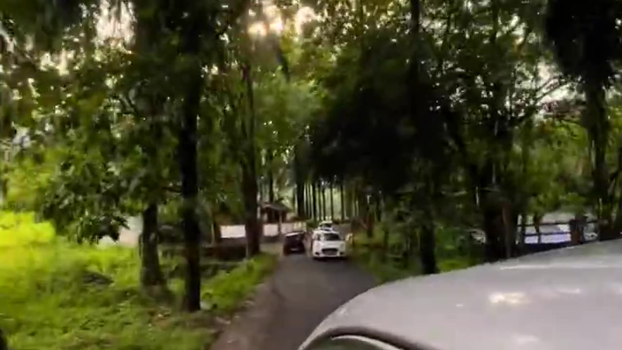 Athirappilly അതിരപ്പള്ളി#shorts #youtubeshorts #athirappillywaterfalls #kerala #southindia #explore