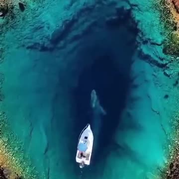 BEAUTIFUL PLACE BEAUTIFUL WHALE