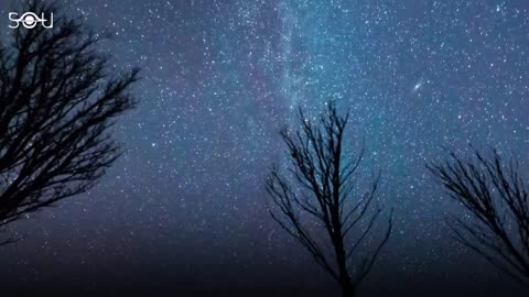 The Red Tsunami Moon of Election Day - Total Lunar Eclipse