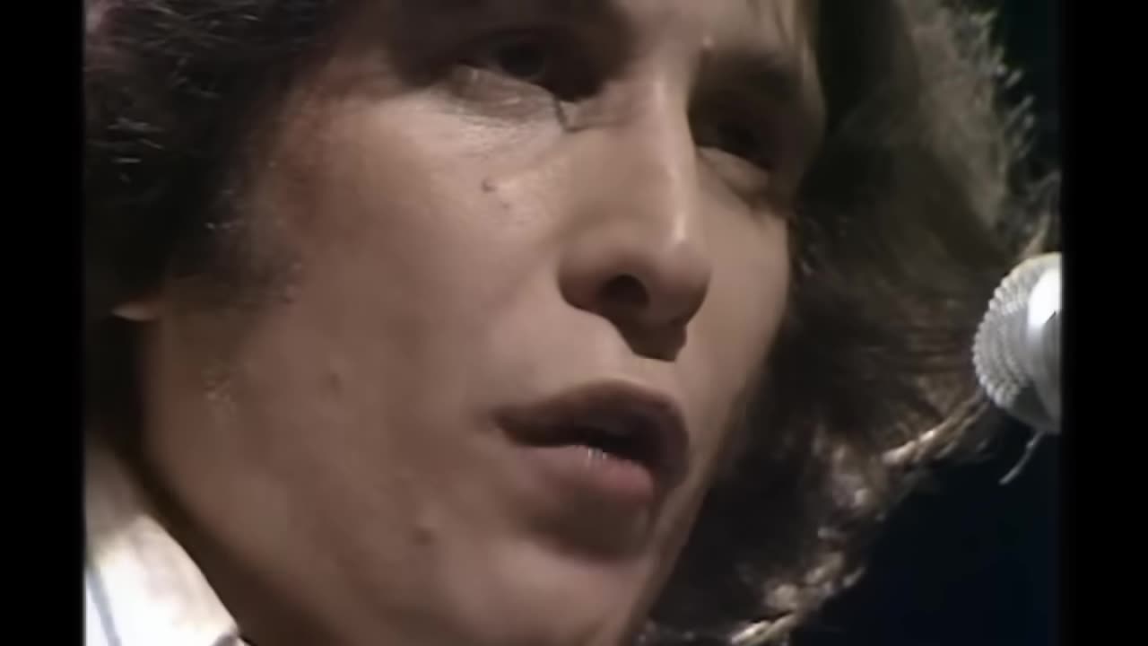 American Pie, Don McLean