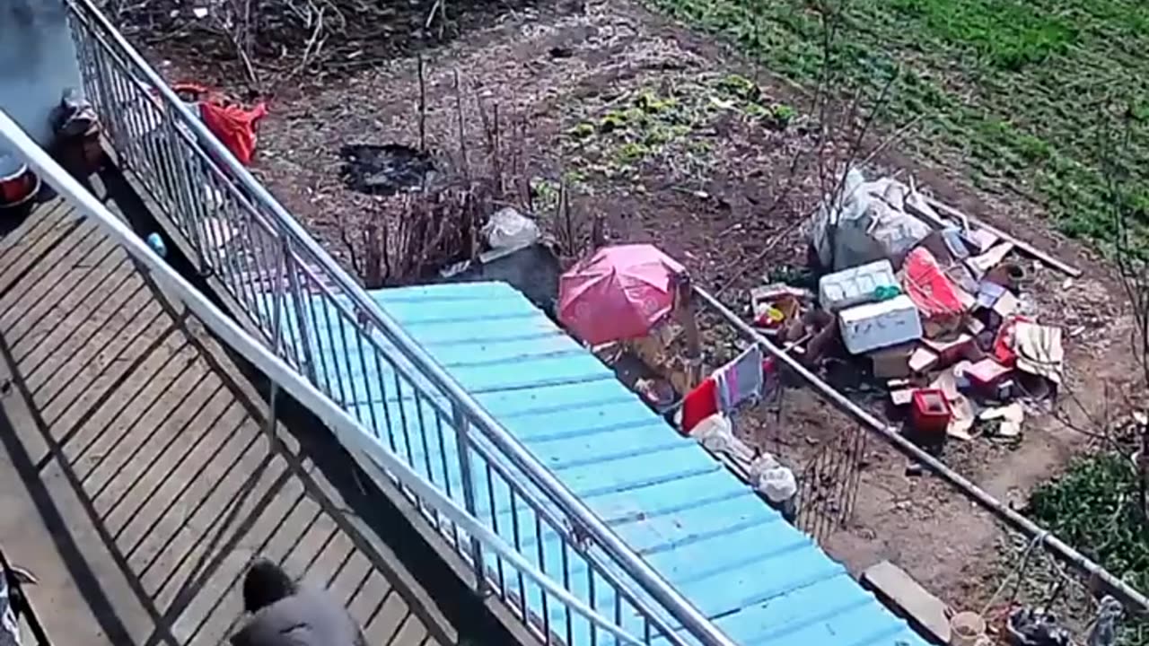 Crazy sexy girl video compilation