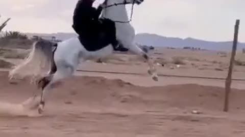 Horse 🐎 Riding