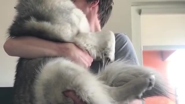 Cute and funny dog videos #10
