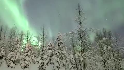 Northern Lights