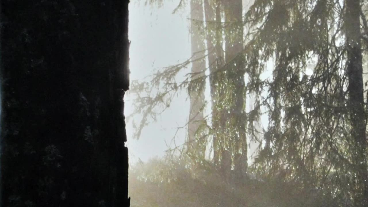 BURZUM – Belus