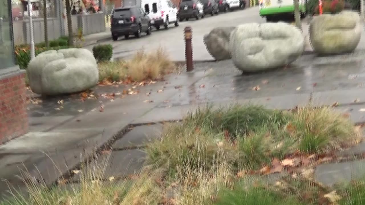 Tatical Ticket Checkers - Snohomish PD
