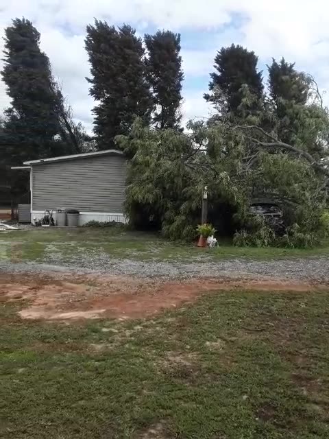 Just in time 4 Halloween