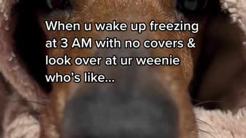 When u wake up freezingat 3 AM with no covers &