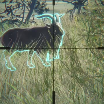 Feral Goat Vs .45-70 Hunter Call of the Wild