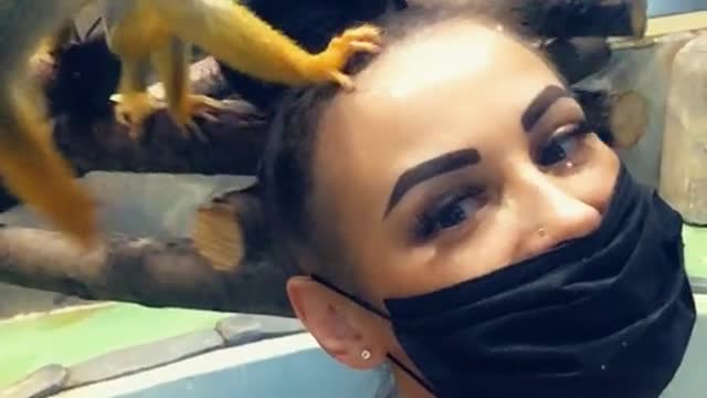 Eyelash master / Monkey found a solution to the problem