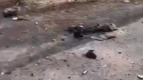 A Few Russians and Their Blown-Up APC