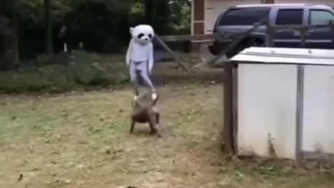 Wow Animal kick