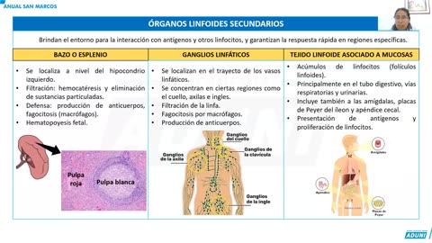 ANUAL ADUNI 2023 | Semana 36 | Literatura | Cívica | Biología