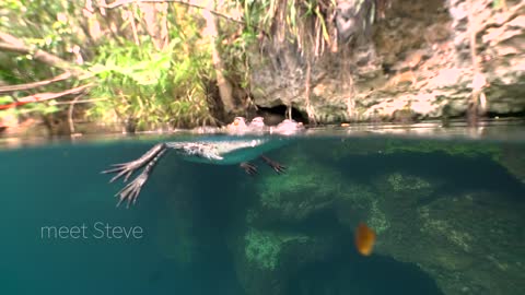 Anna and the baby crocodile