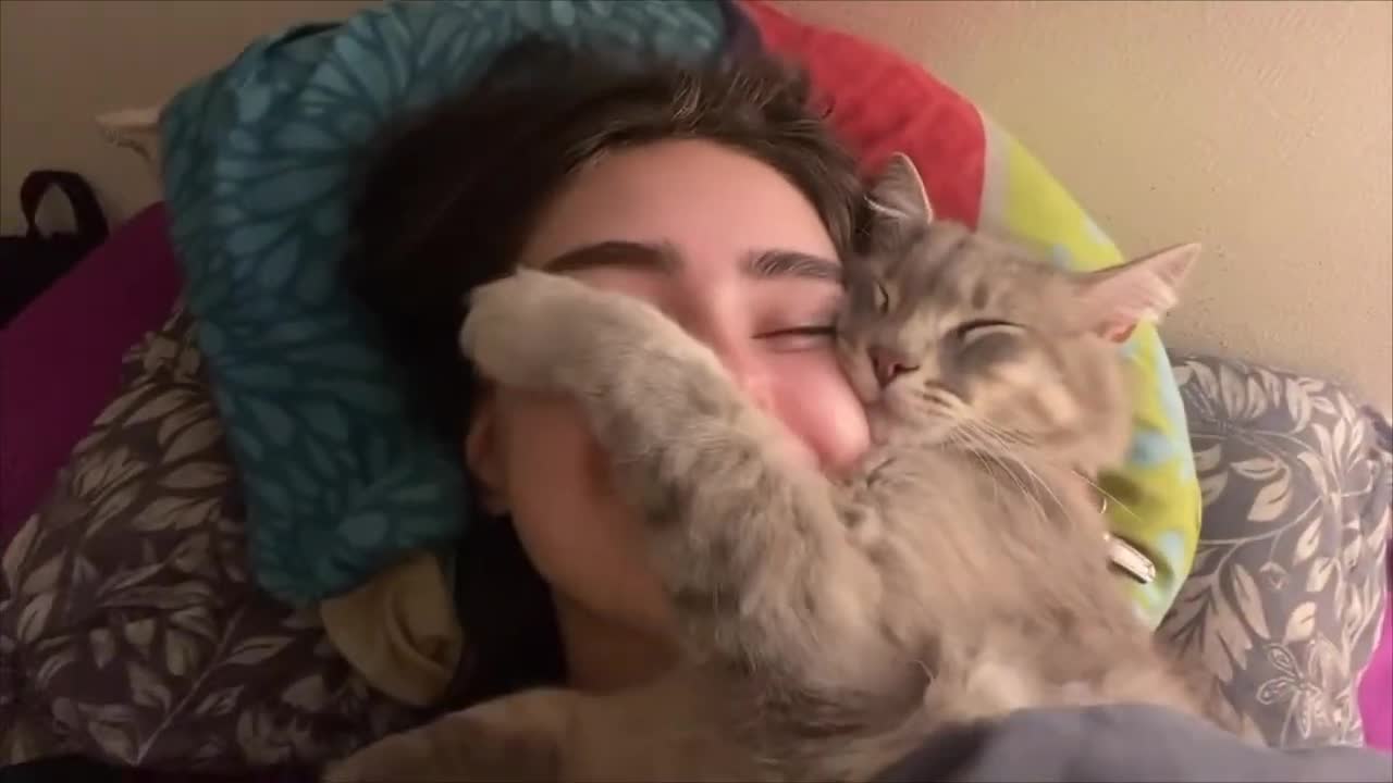 Loving Cat Refuses to Remove Its Paw off Lady’s Face