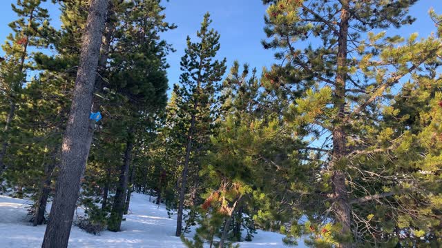 Gorgeous Snowy Alpine Meadow – Central Oregon – 4K