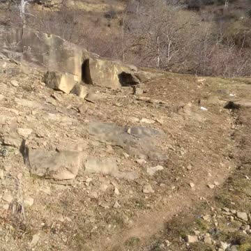 Лес и камни