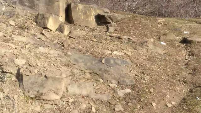 Лес и камни