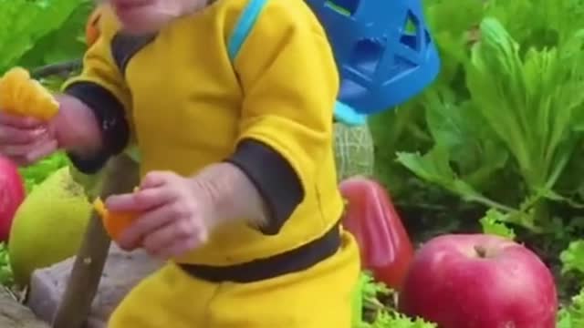Monkey picking fruit#monkey #fruit #cutemonkey #pickorange