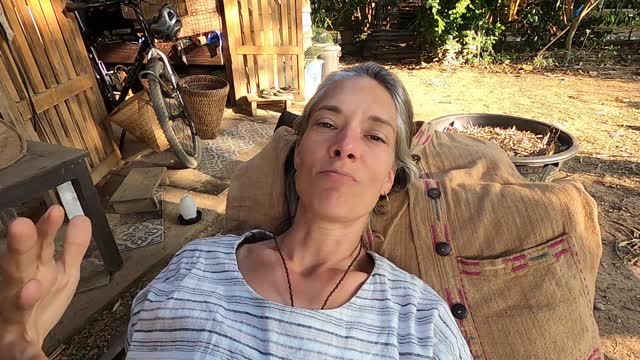Day 6 - Plasma Fasting