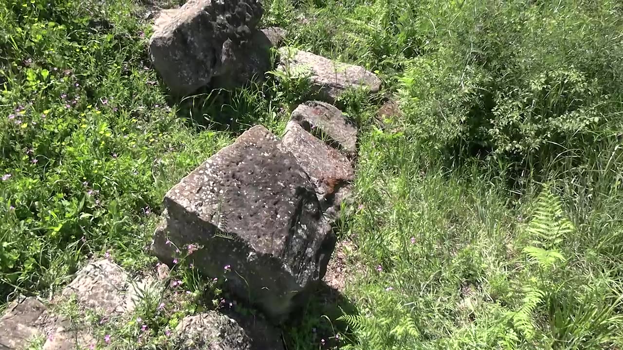 Apolonia. Albania