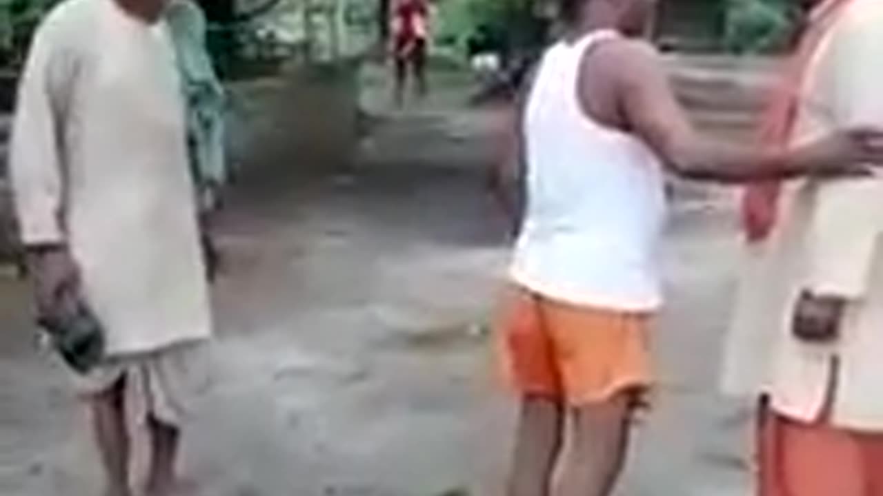 Funny moments