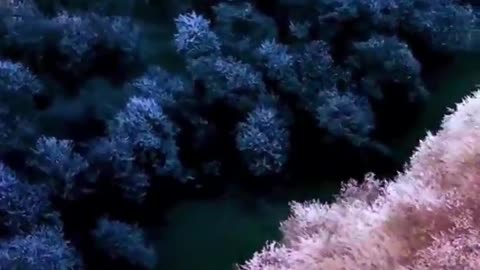 The beauty of nature