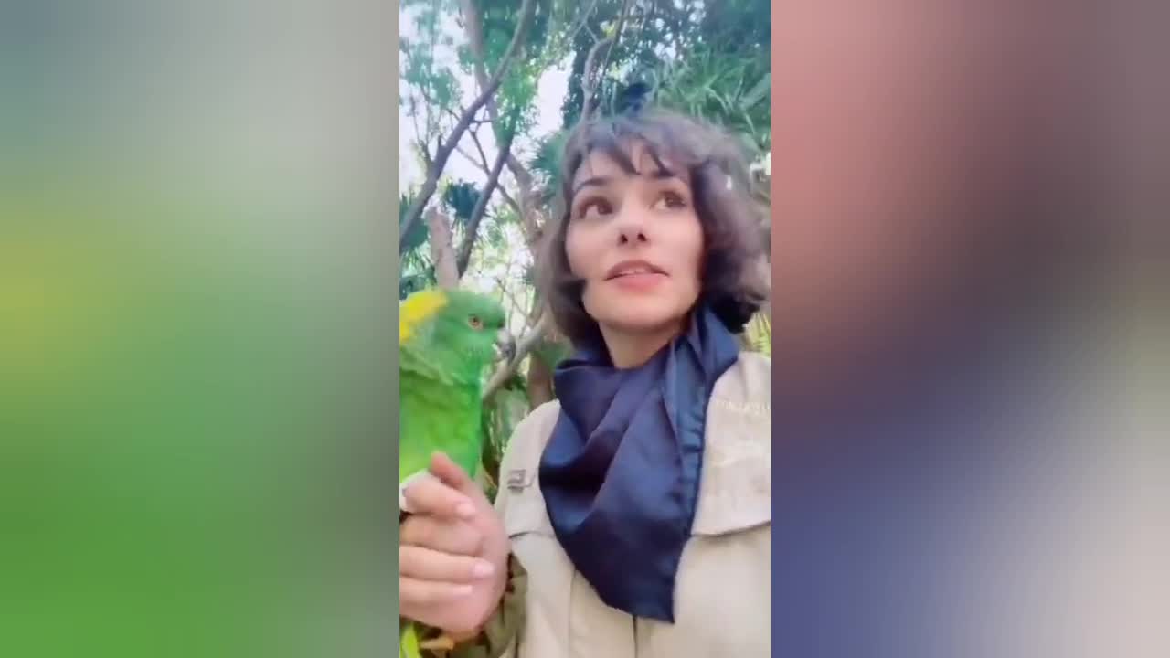 Cute and Funny Parrots Talking