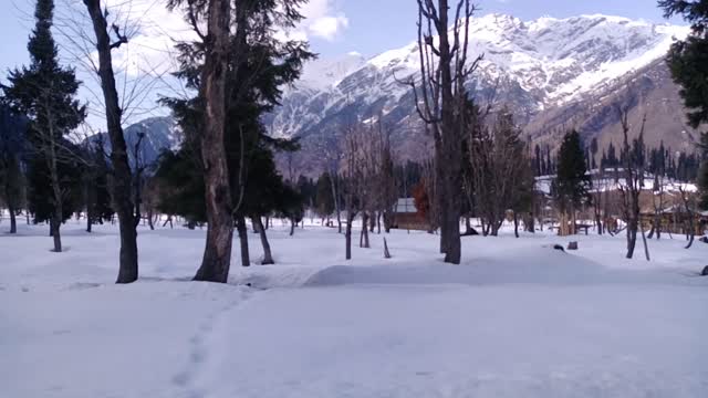 Kashmir snow fall attracts tourists 🏂🏼