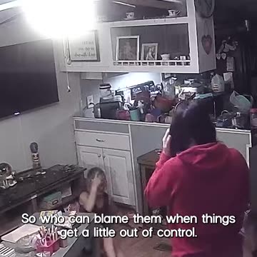 Hilarious Animals Caught On Camera