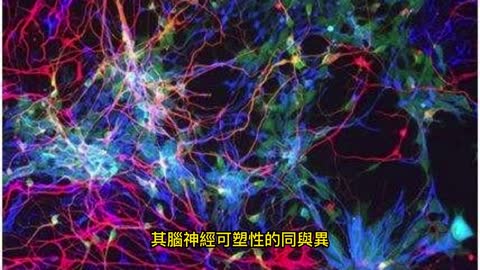 音樂訓練 改變大腦