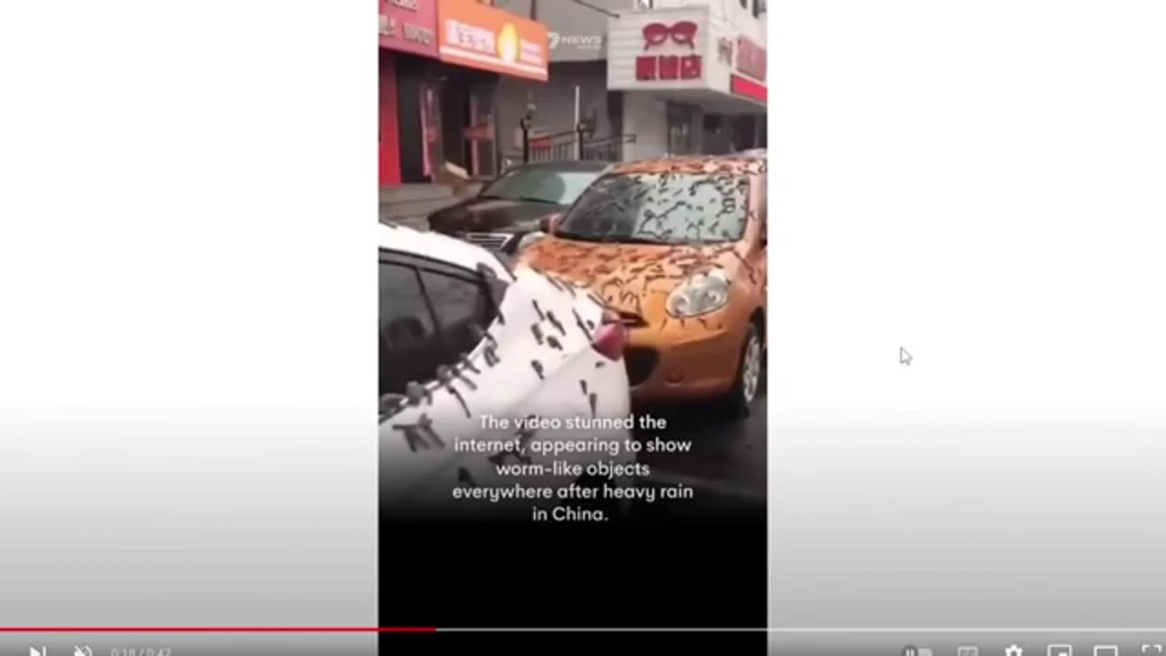 Strange ‘worm rain’ viral video from China explained | Almas Jacob