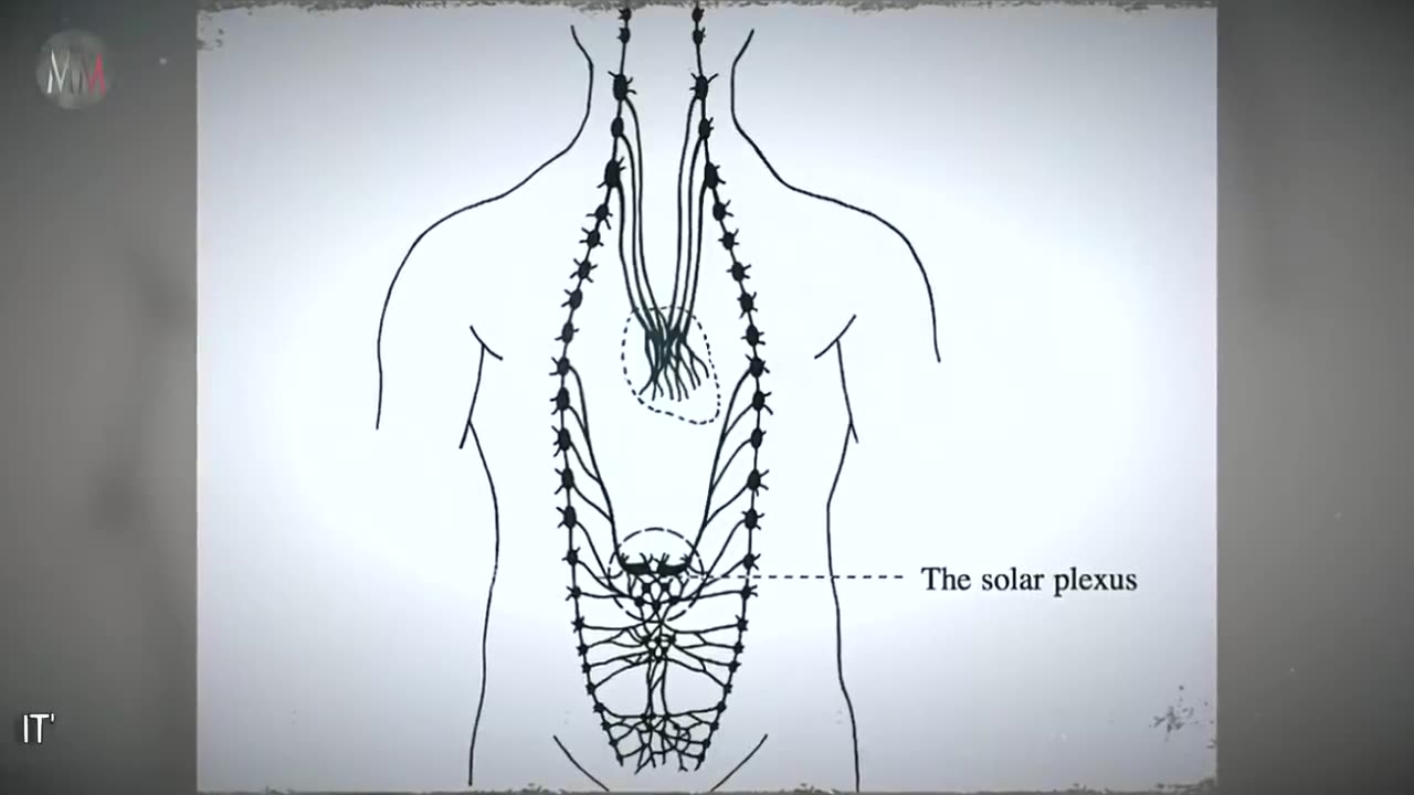 HOW TO ACTIVATE YOUR PINEAL GLAND EXTREMELY DETAILED EXPLANATION