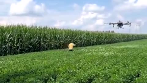 Taking Down Huge Drone