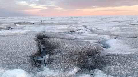 Protectors of the Ice? Strange Giant Viruses Discovered on Greenland Ice Sheet