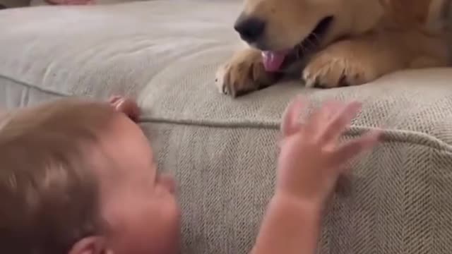 Baby kisses puppy