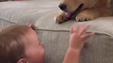 Baby kisses puppy