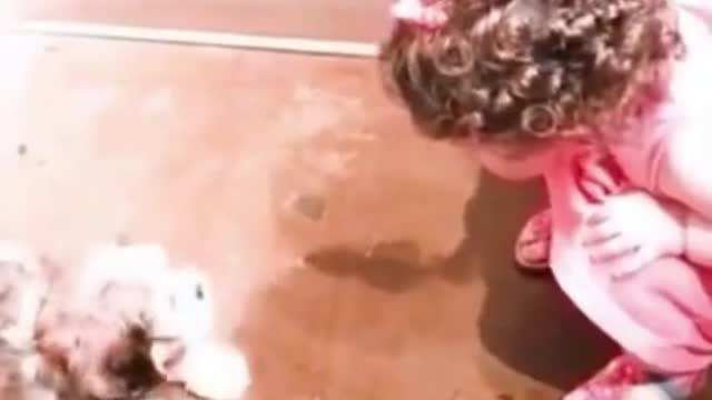 Funny cute Baby Videos playing with dog