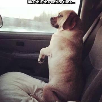 funny memes| episode 1