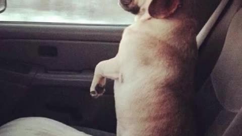 funny memes| episode 1