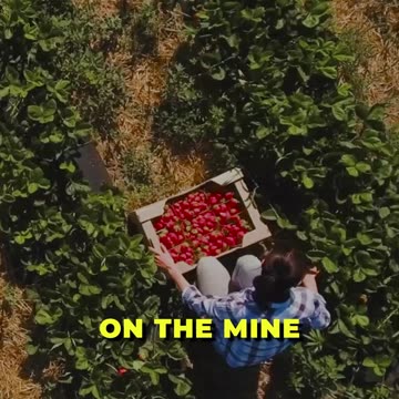 🌱 Discover the Art of Natural Farming 🍃