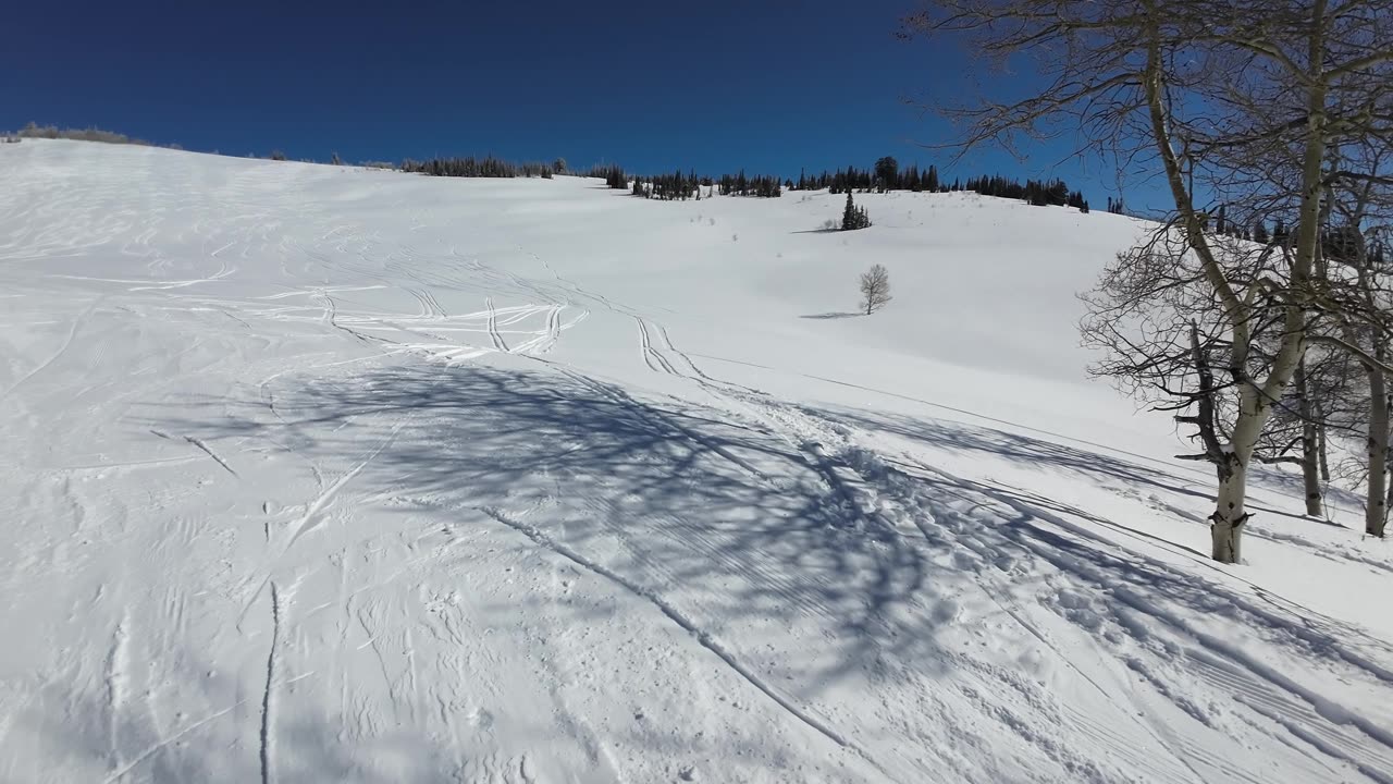 3/16 #7 4th run down the same spot find our own lines of untracked snow