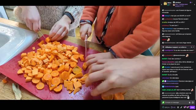 2023-01-25 (1bis) - Fricassée - Twitch Triskelina (version avec chat)