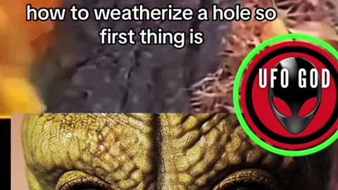 YouTube reptilian