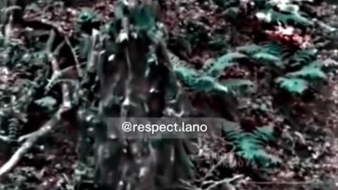 Respect 💯😱😱😱 #Respect #short #video