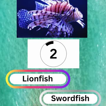 Fish Frenzy 20 A fast-paced quiz