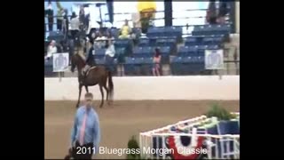 Bluegrass Morgan Classic